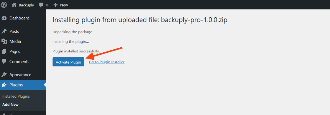 activate-backuply-pro Activating Backuply Pro