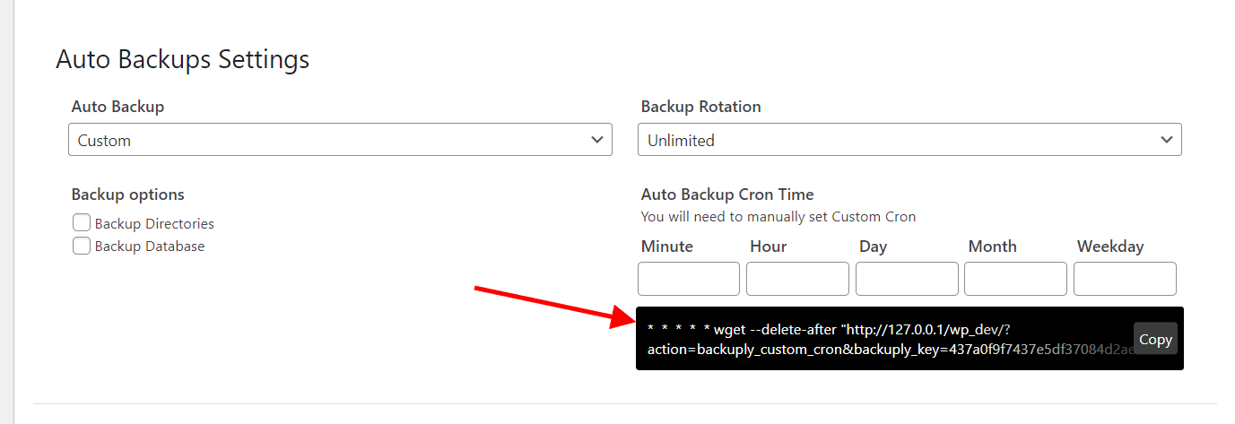 Backuply Custom Cron Field Backuply Custom Cron Field